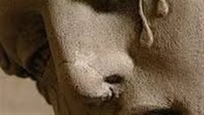 قصة امرأة تبرعت بعينيها لزوجها