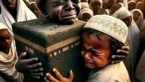 لمحة نيوز