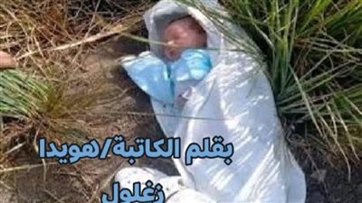 روايه للكاتبه هوايدا زغلول 