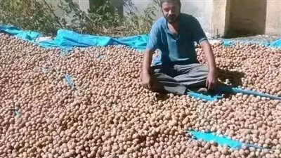 شاب مكافح
