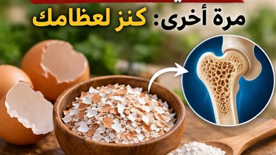 قشر البيض